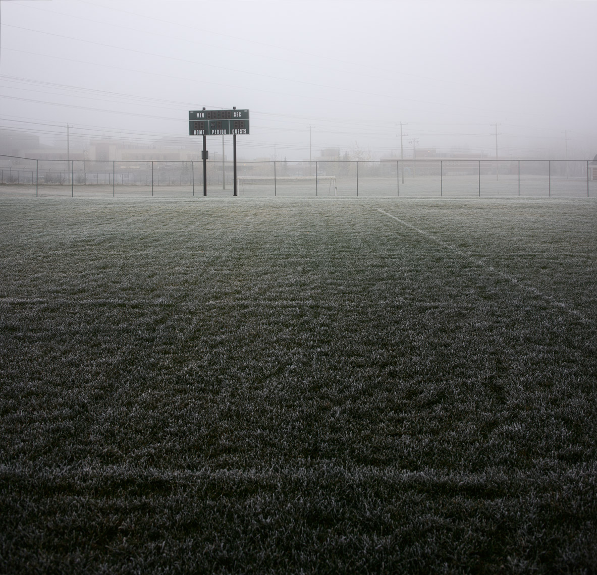 Fog Field 