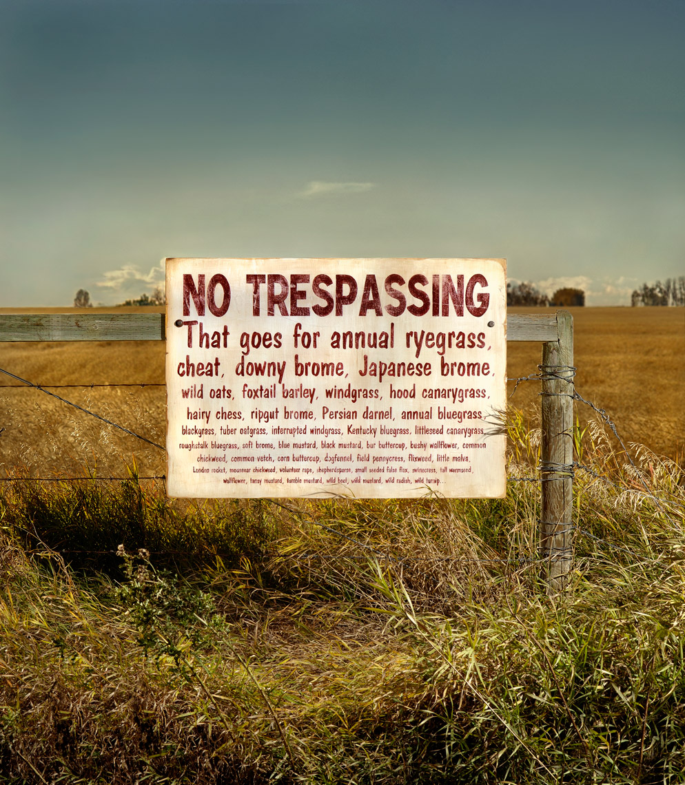 No Trespassing 
